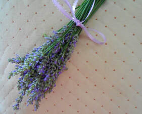 Simple Lavender Bundle